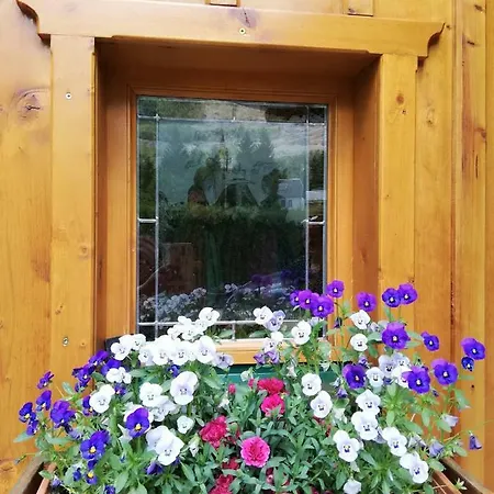 Haus Seegarten *